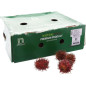 RAMBOUTAN 2KG